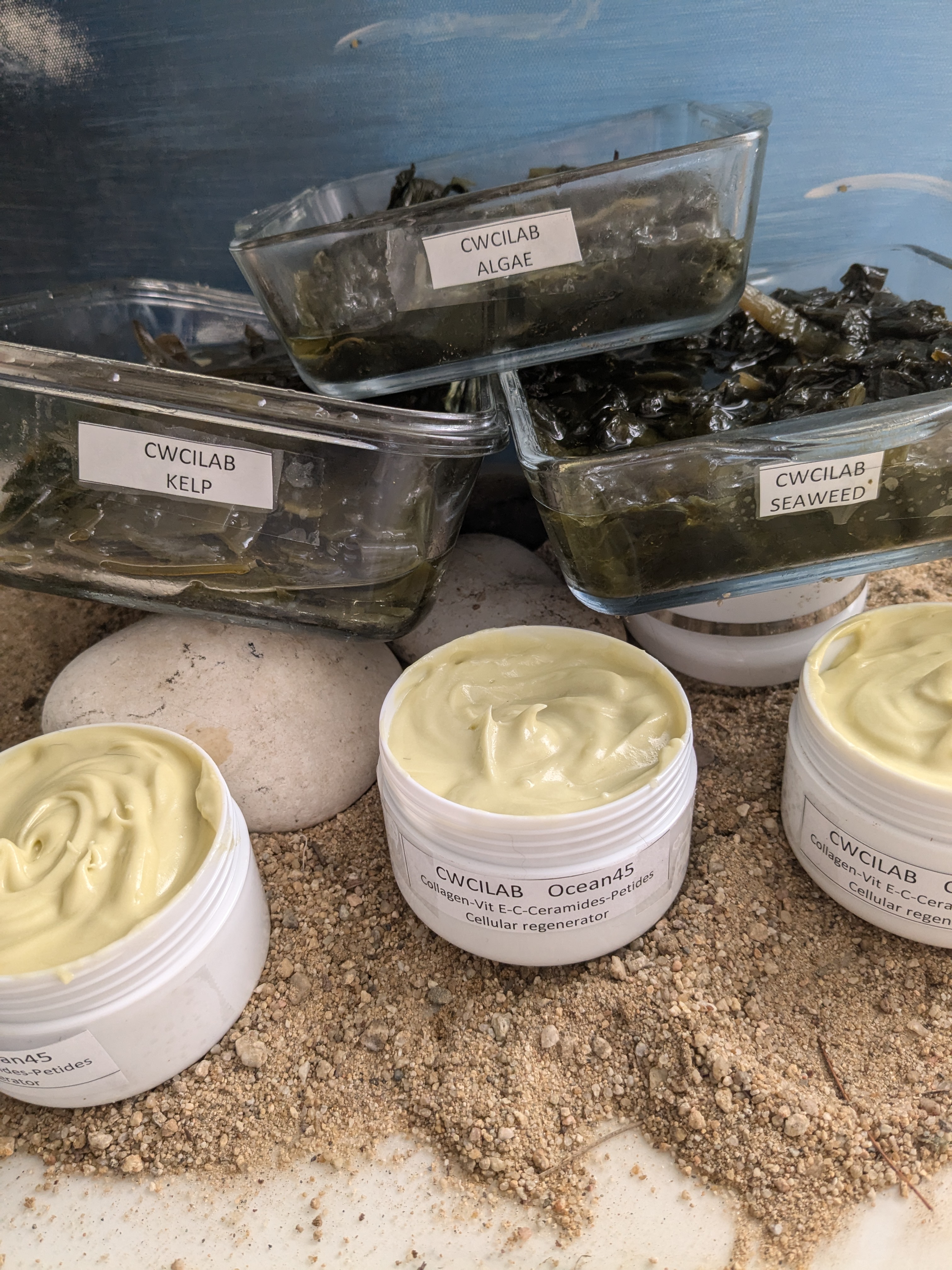 kale, seaweed sea plants